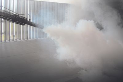 Autumn and Winter Timing