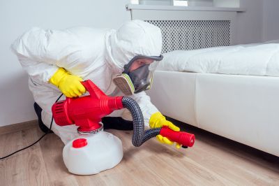 Odor Removal Services