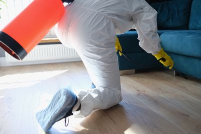 Commercial Fumigation in Fredericksburg, VA