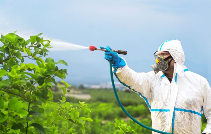 Fumigation Service in Kalamazoo, MI