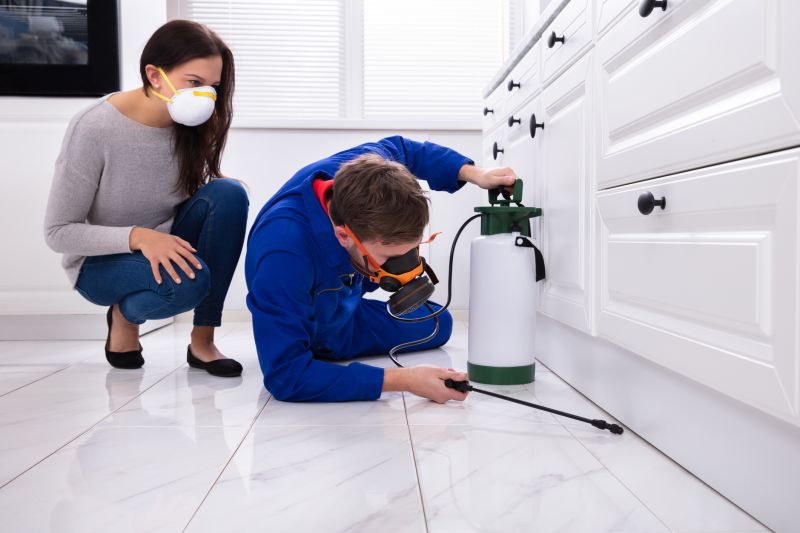 Mud Dauber Extermination in Frisco, TX