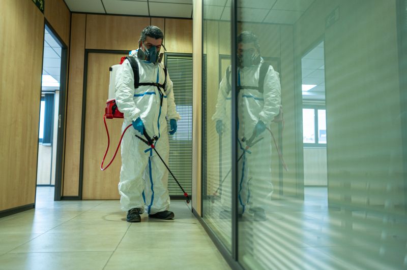 Rat Fumigation Service in Madison, WI