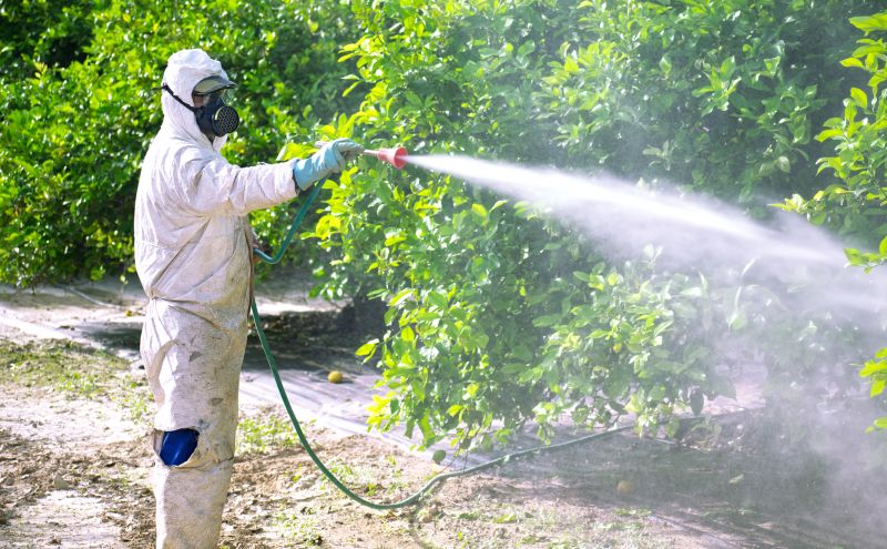 Roach Fumigation in Fayetteville, NC